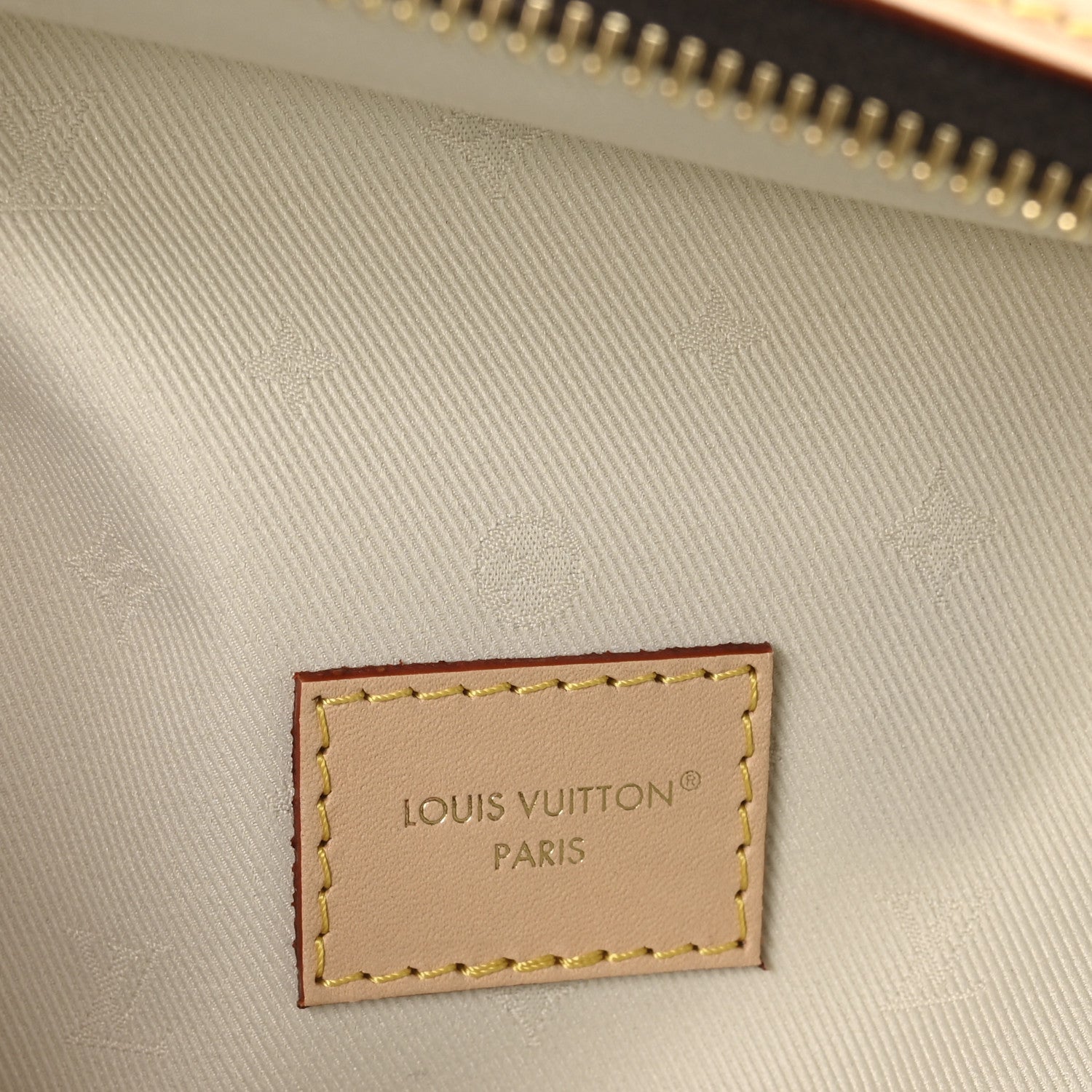 Louis Vuitton Monogram High Rise Bumbag