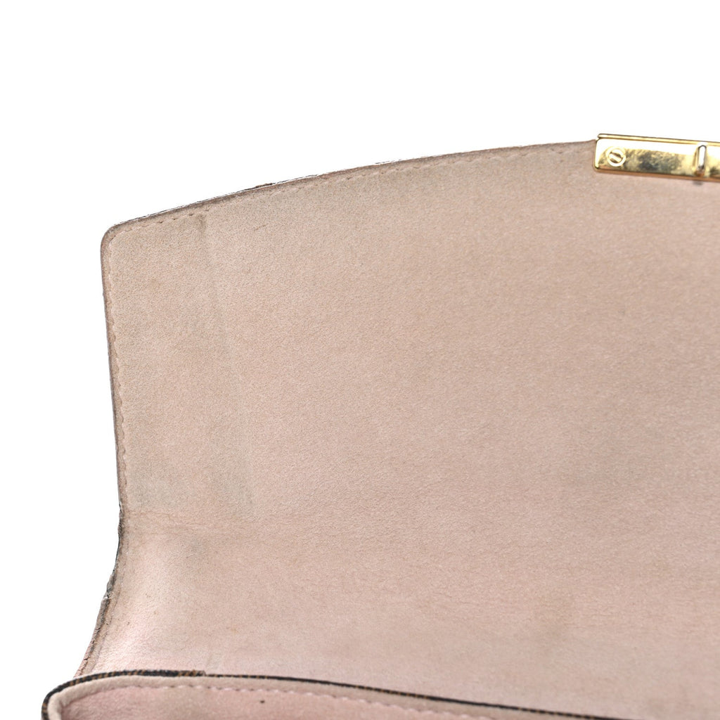 Louis Vuitton Damier Ebene Caissa Clutch Rose Ballerine