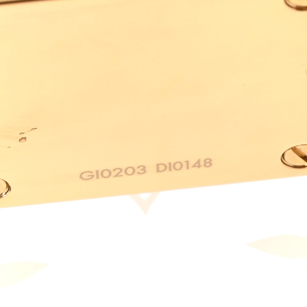 Louis Vuitton Transparent Plexiglass Box Scott