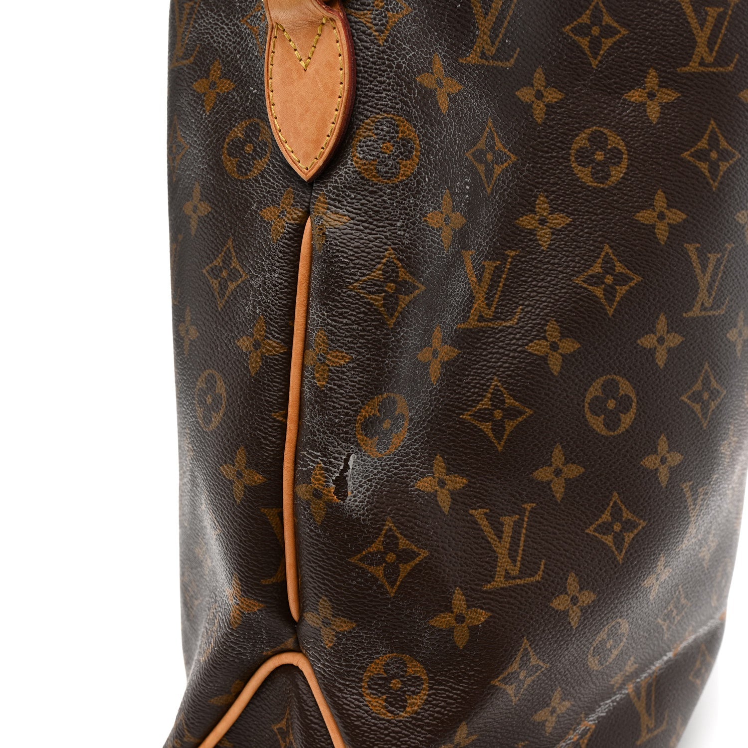 Louis Vuitton Monogram Delightful MM