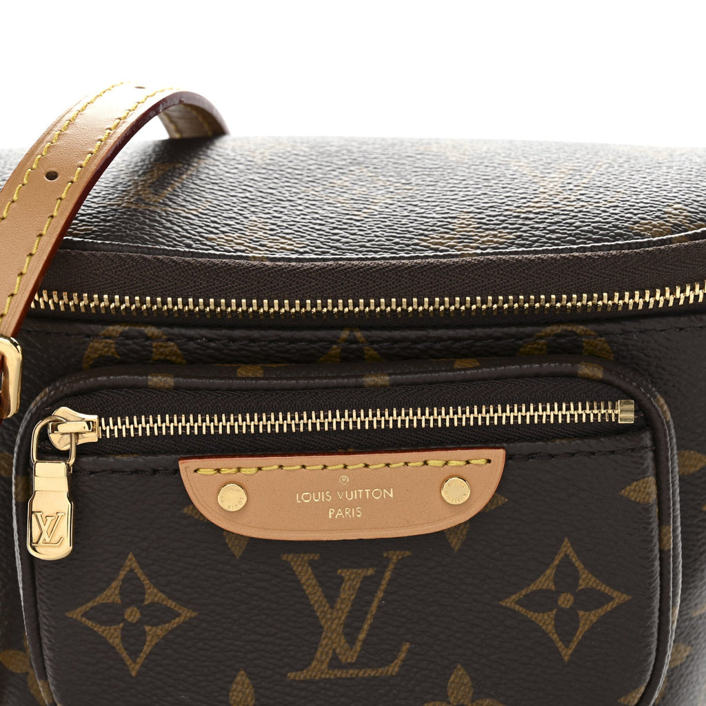 Louis Vuitton Monogram Mini Bumbag