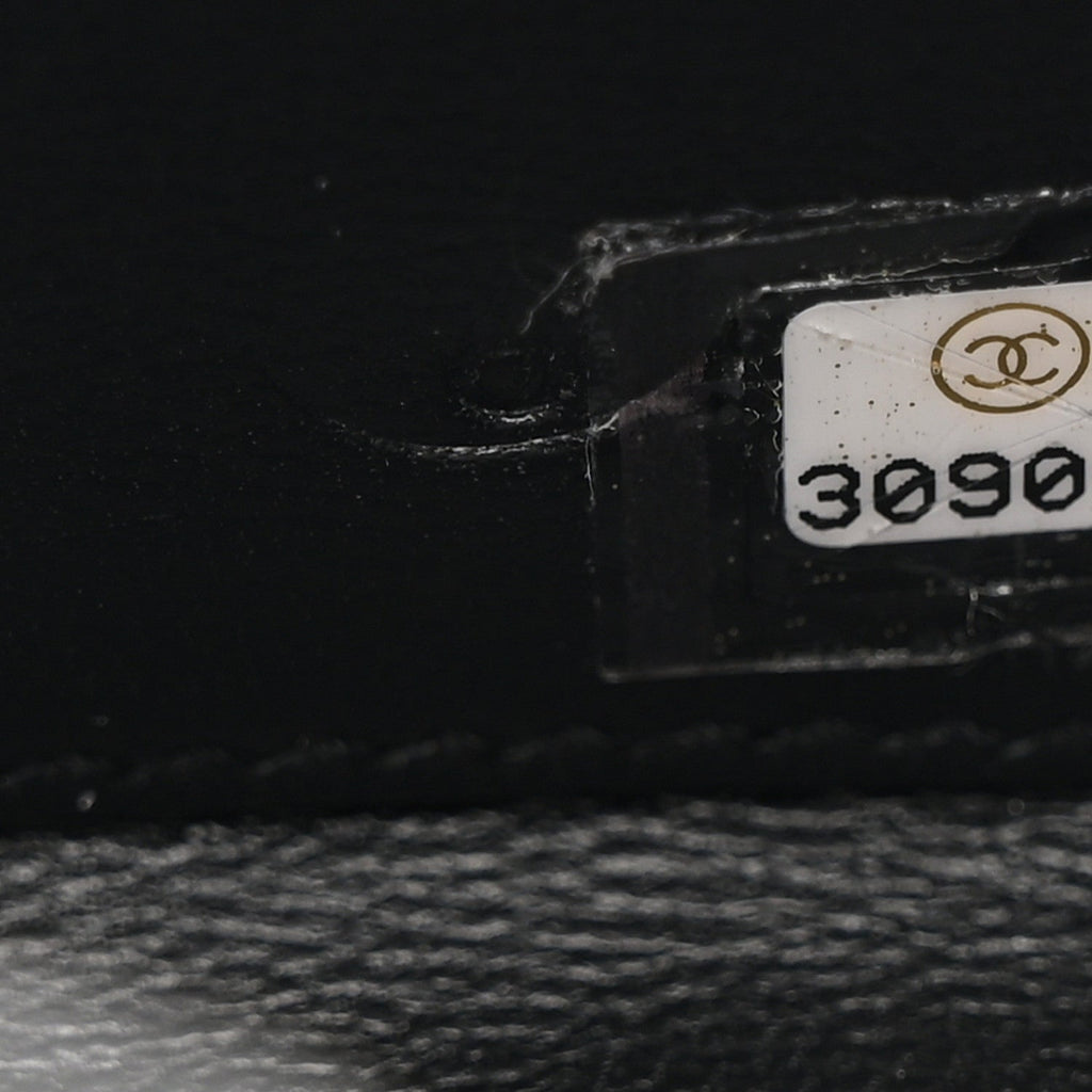 Chanel Plexiglass Plexi Coco Bag Black White