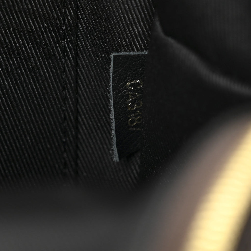 Louis Vuitton Monogram Palm Springs Backpack Mini