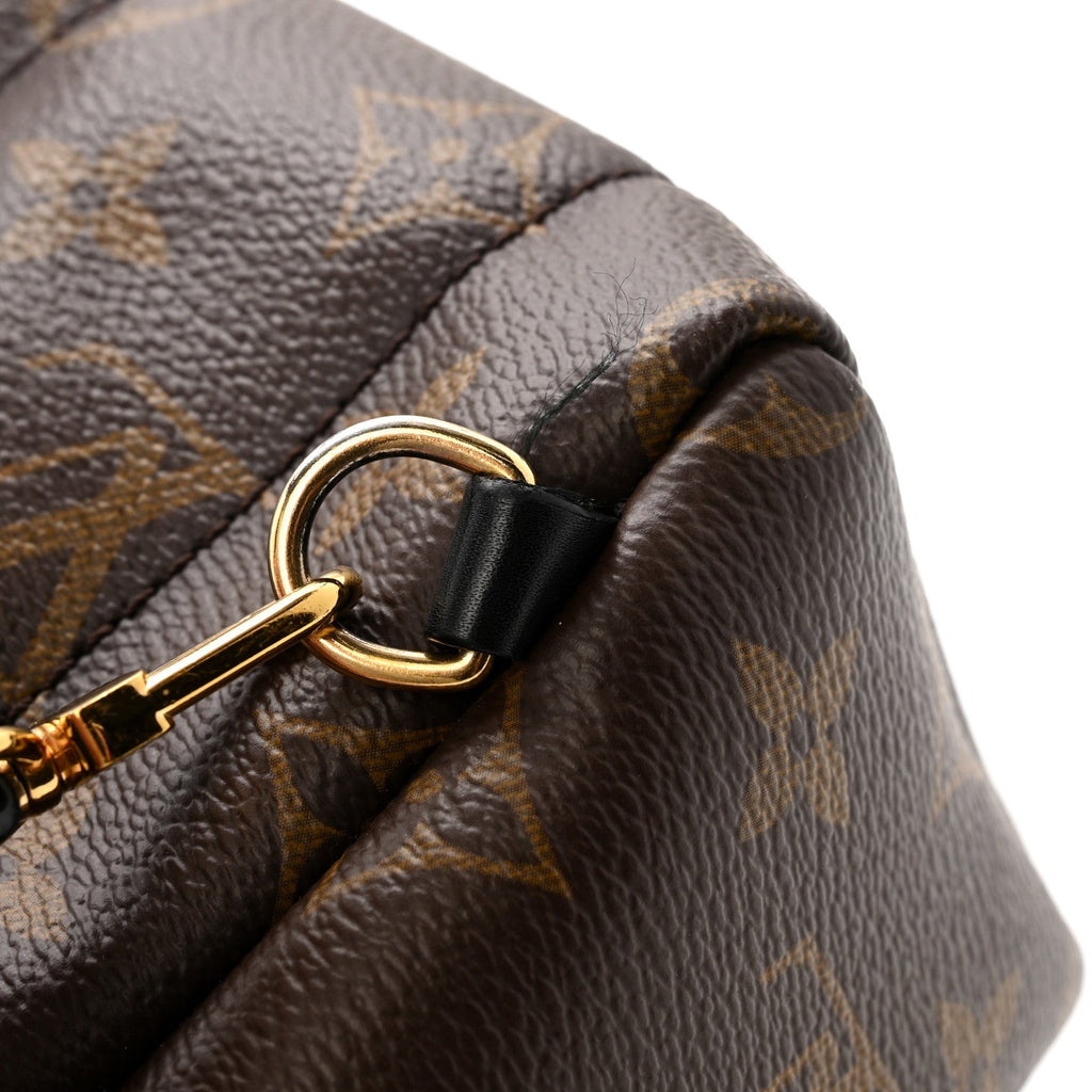 Louis Vuitton Monogram Palm Springs Backpack Mini