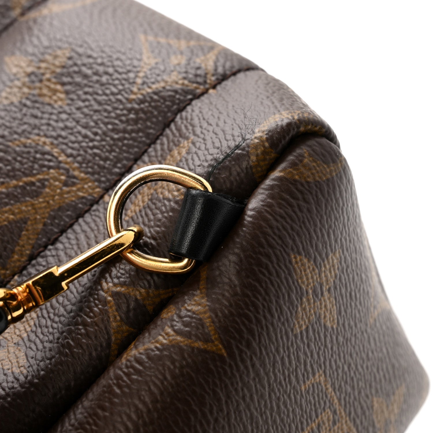 Louis Vuitton Monogram Palm Springs Backpack Mini