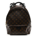 Louis Vuitton Monogram Palm Springs Backpack MM