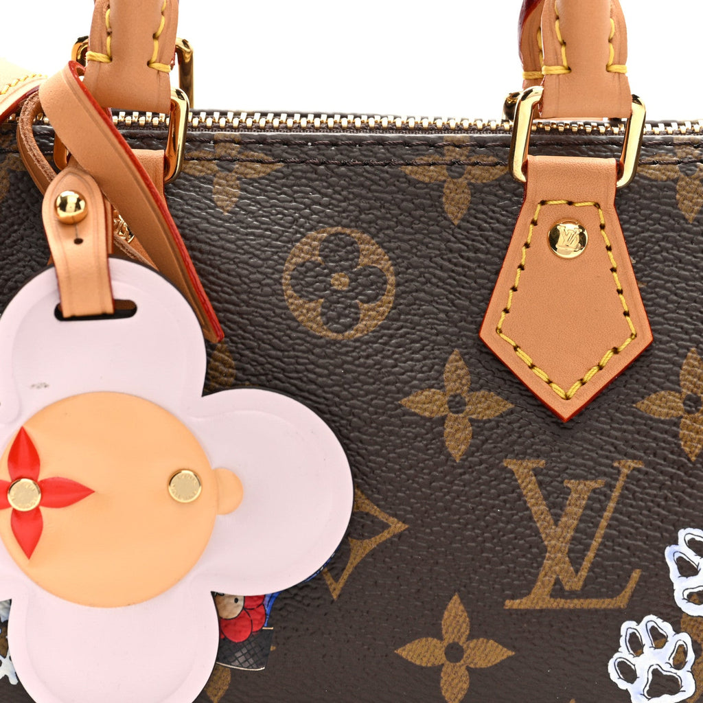 Louis Vuitton Monogram Vivienne Nano Speedy