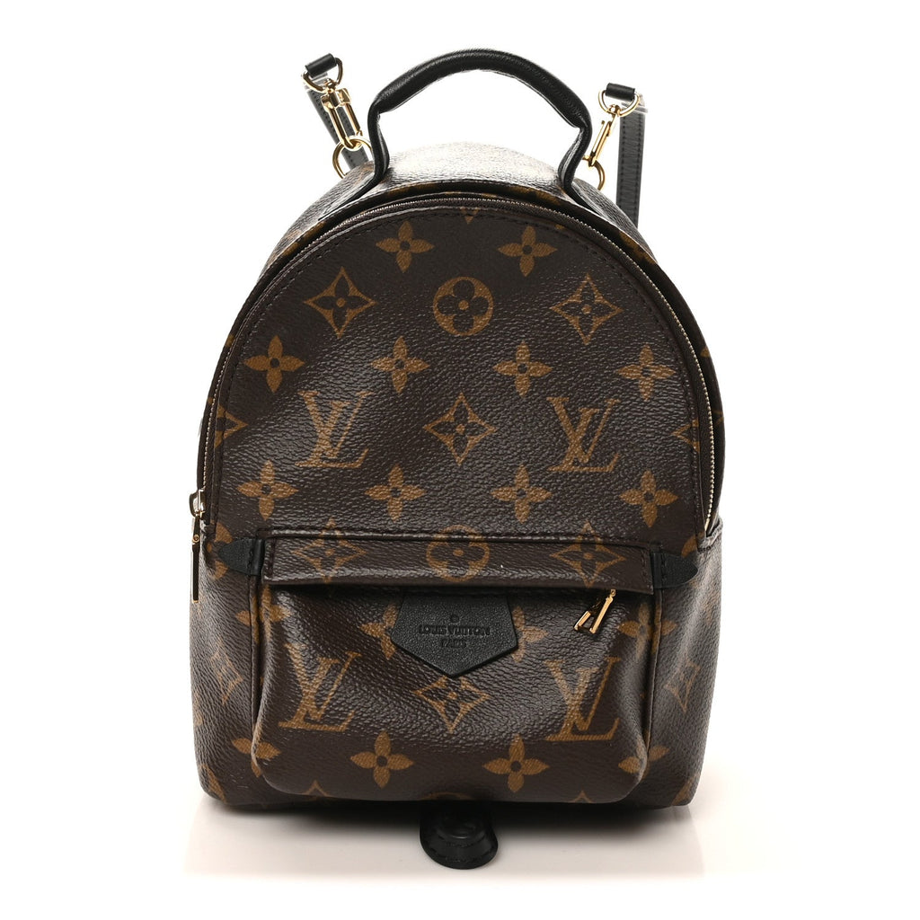 Louis Vuitton Monogram Palm Springs Backpack Mini