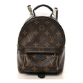 Louis Vuitton Monogram Palm Springs Backpack Mini