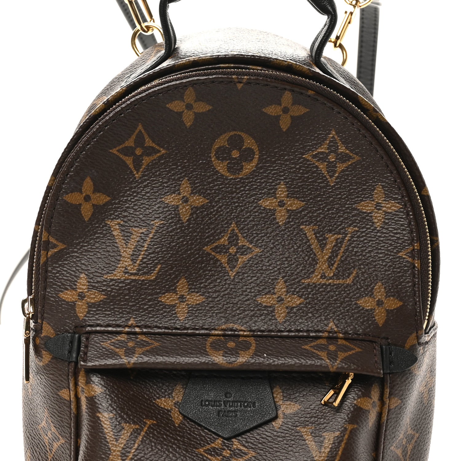 Louis Vuitton Monogram Palm Springs Backpack Mini
