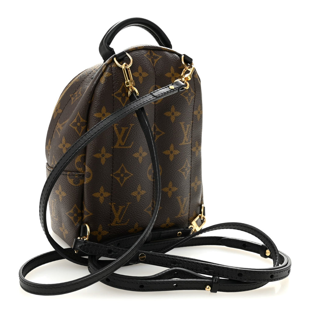 Louis Vuitton Monogram Palm Springs Backpack Mini