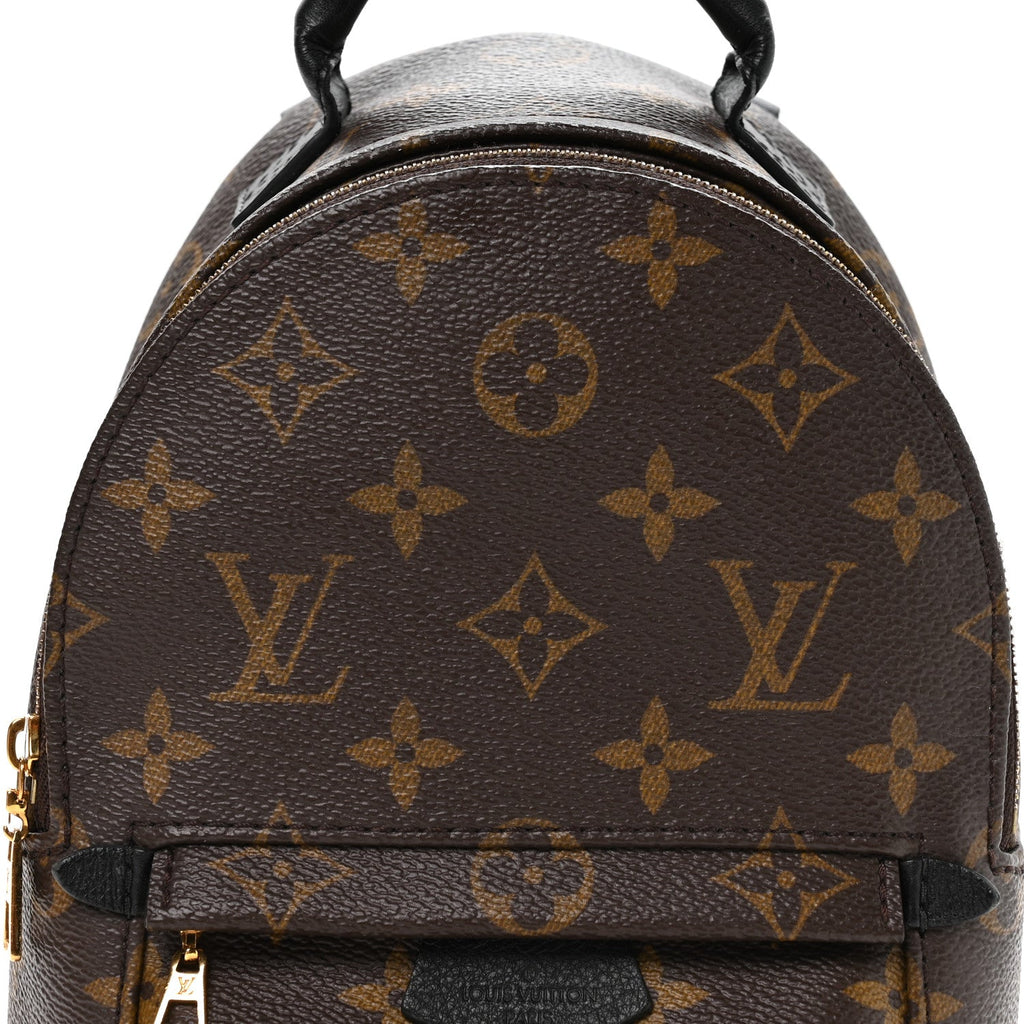 Louis Vuitton Monogram Palm Springs Backpack Mini