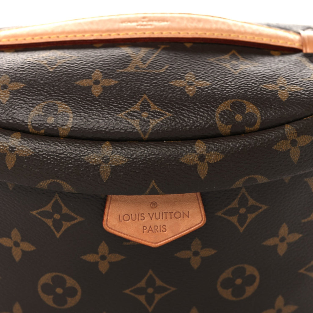 Louis Vuitton Monogram Bumbag
