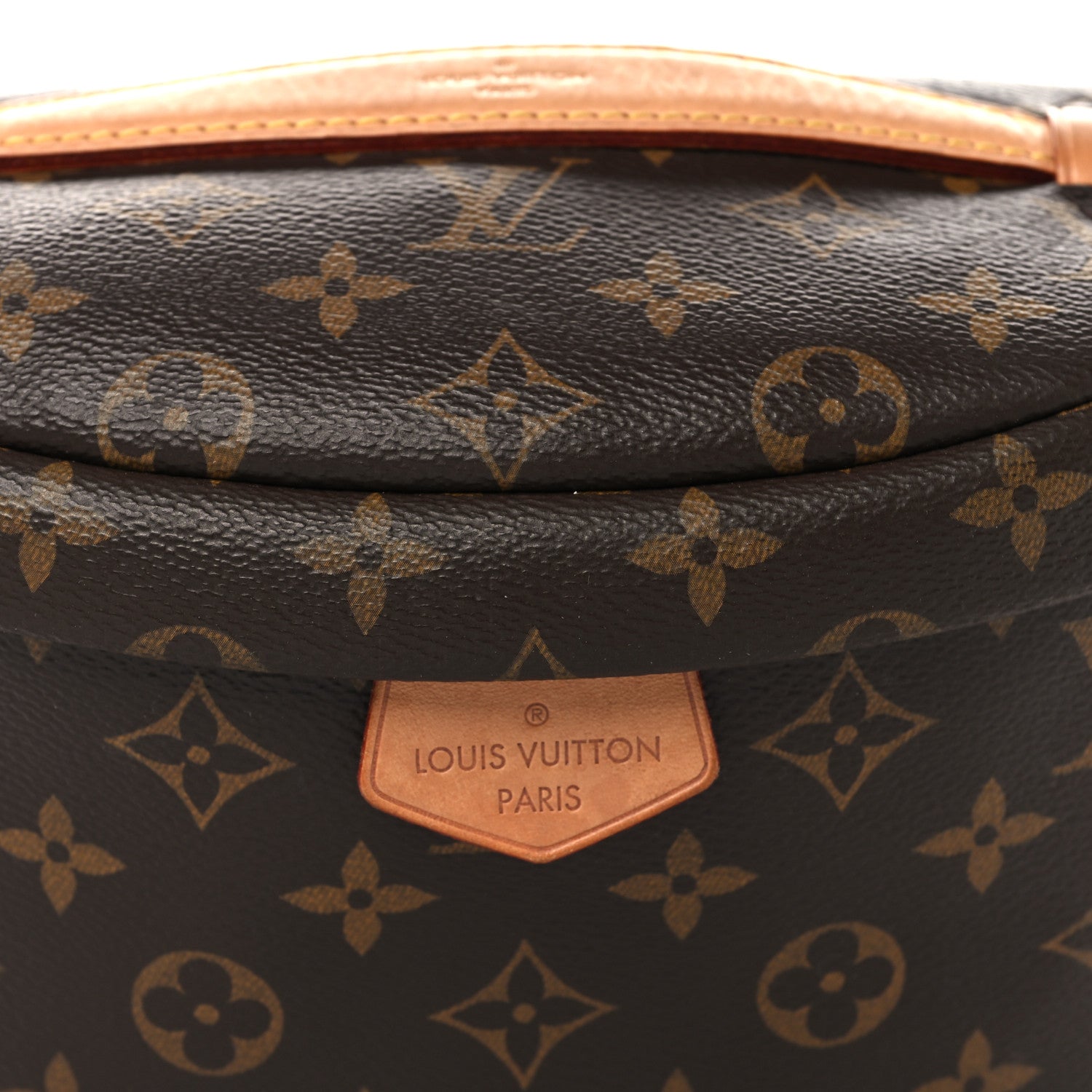 Louis Vuitton Monogram Bumbag