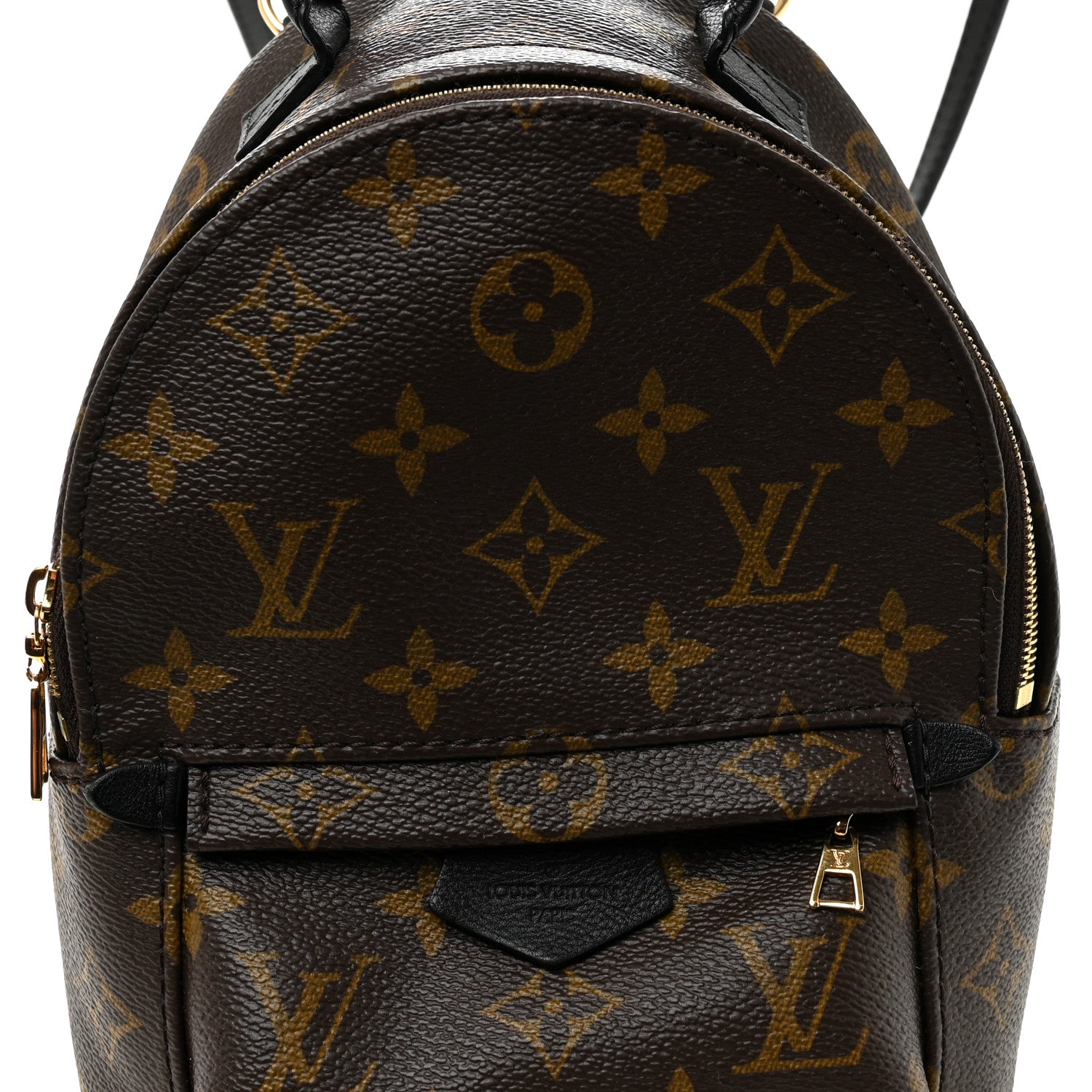 Louis Vuitton Monogram Palm Springs Backpack Mini