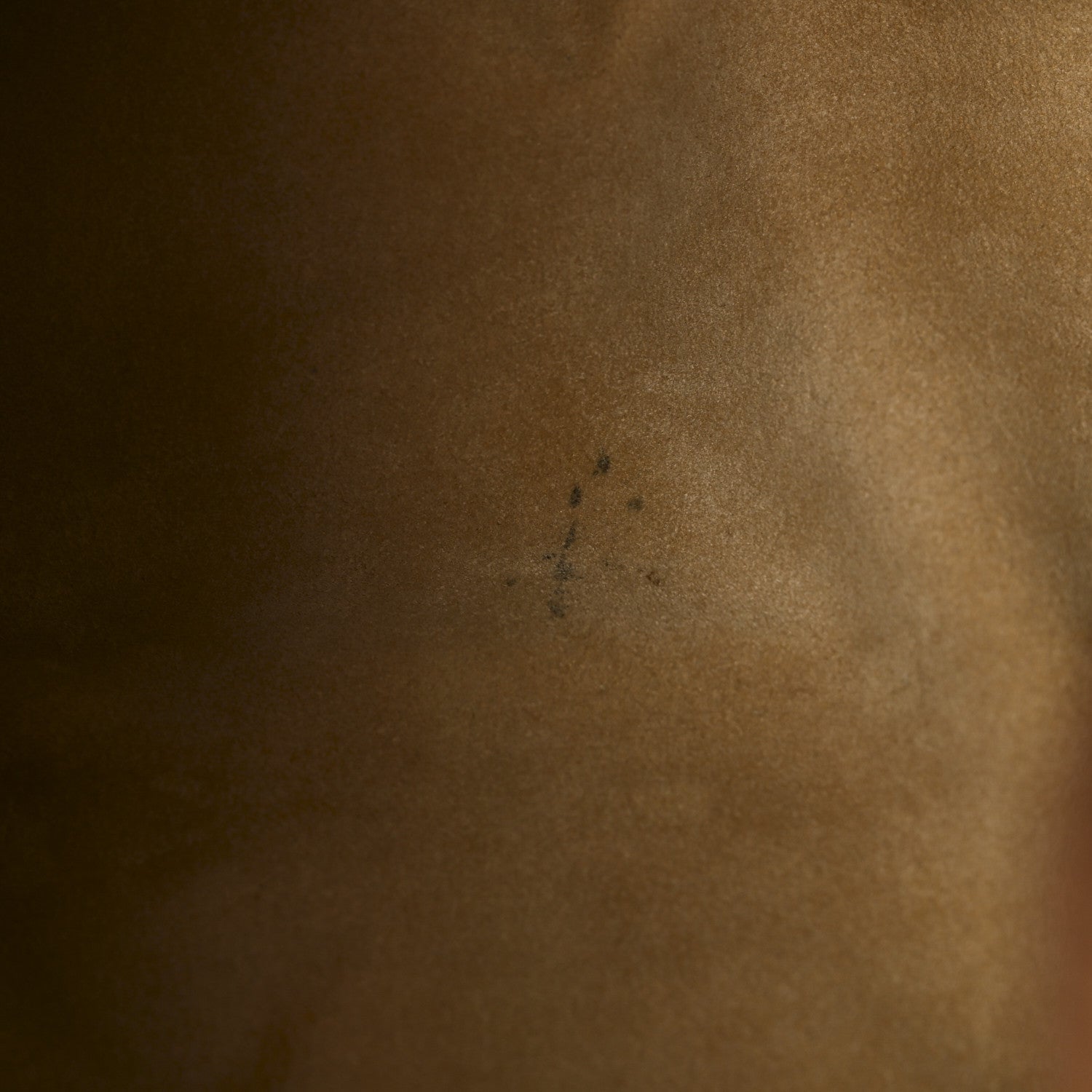Louis Vuitton Monogram Galliera PM