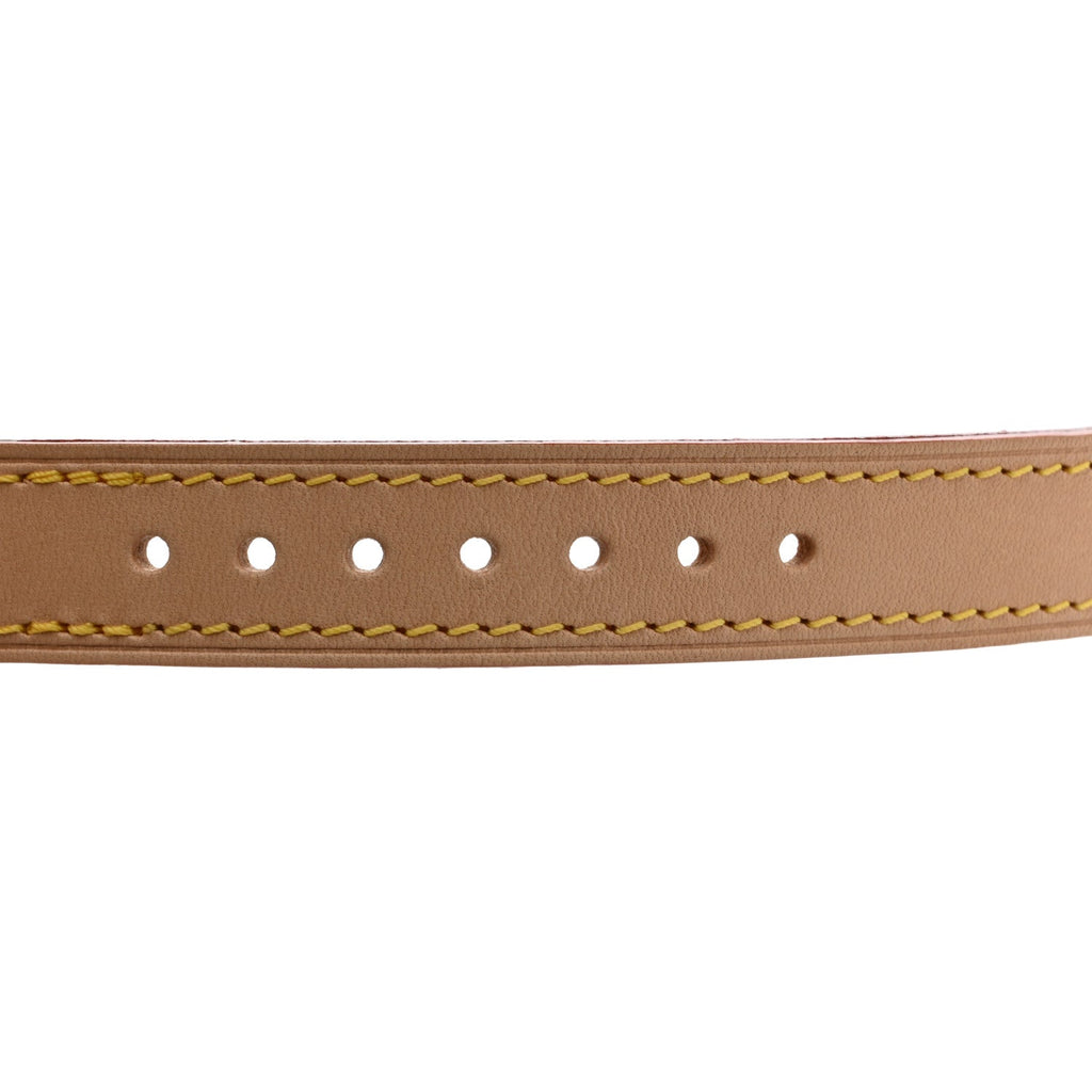 Louis Vuitton LV X TM Monogram Multicolor Dog Collar MM White
