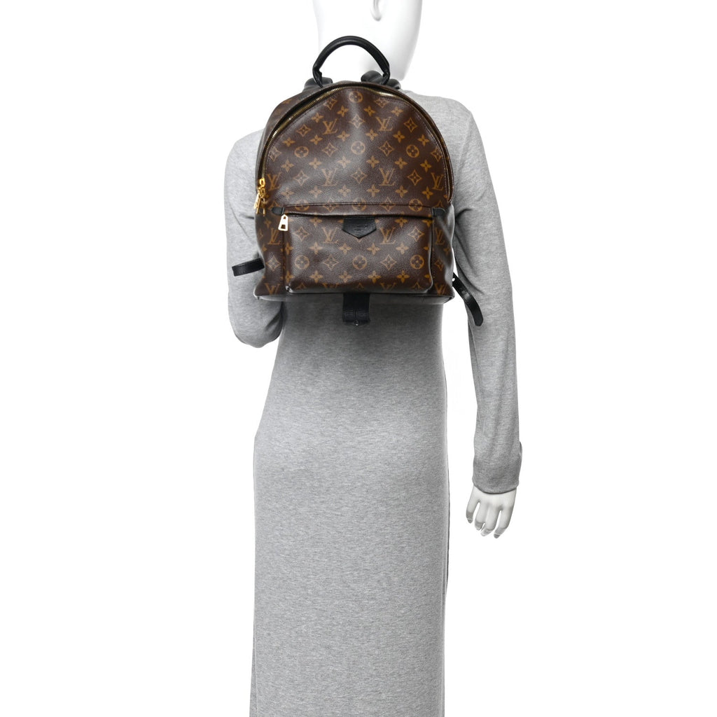 Louis Vuitton Monogram Palm Springs Backpack MM