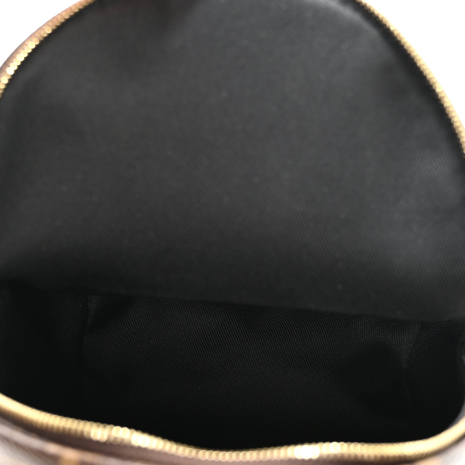 Louis Vuitton Monogram Palm Springs Backpack Mini