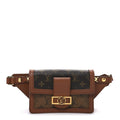 Louis Vuitton Reverse Monogram Dauphine Bumbag
