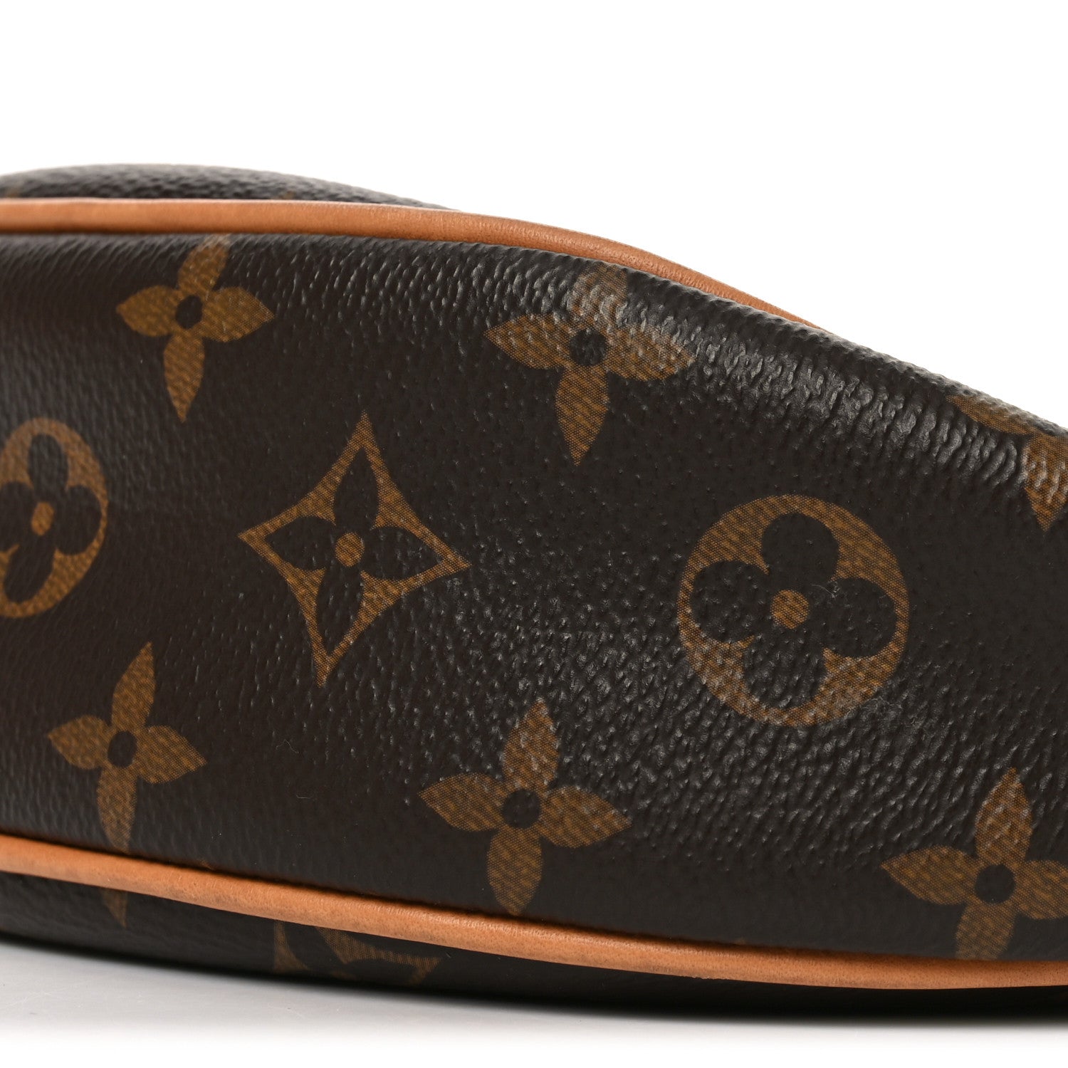Louis Vuitton Monogram Loop