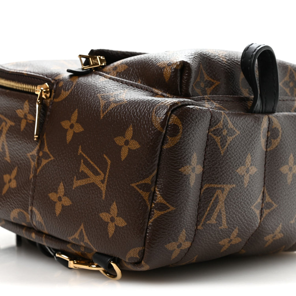 Louis Vuitton Monogram Palm Springs Backpack Mini