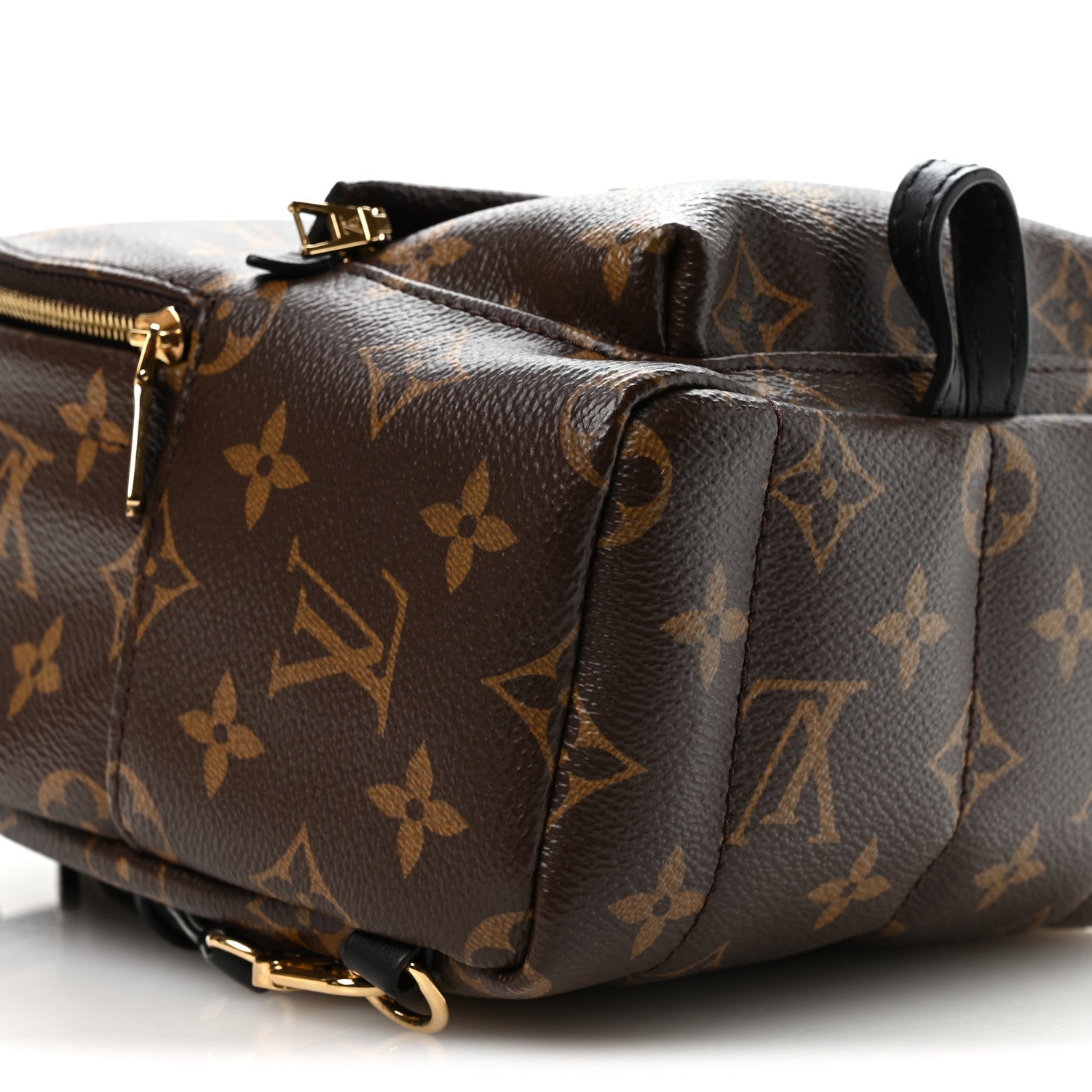 Louis Vuitton Monogram Palm Springs Backpack Mini