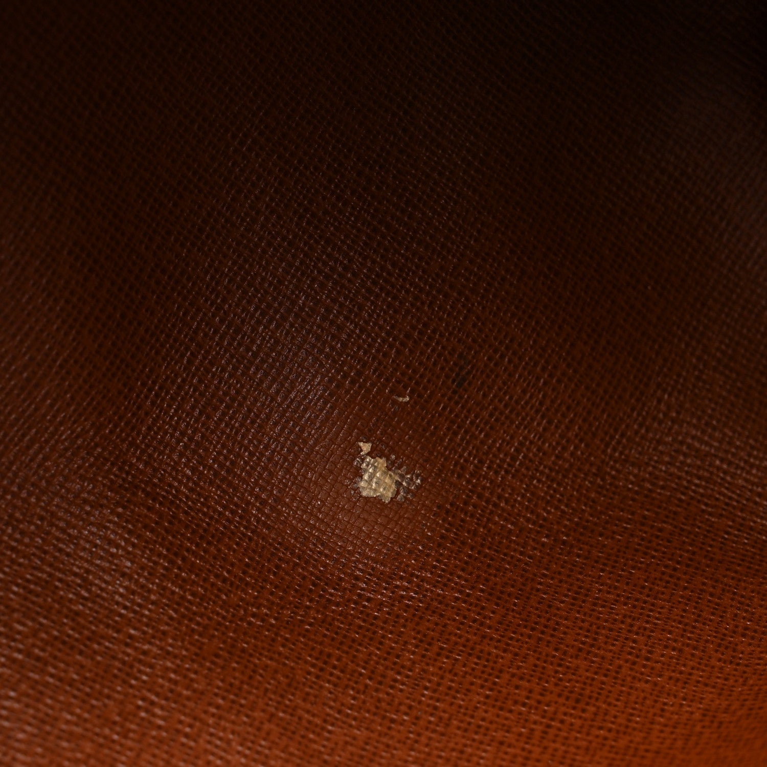 Louis Vuitton Monogram Papillon 30 with Companion