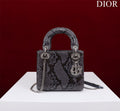 Dior Bag
