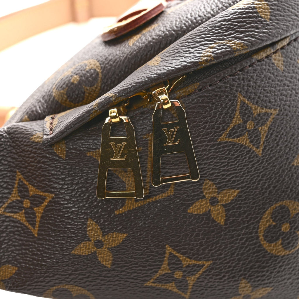 Louis Vuitton Monogram Bumbag