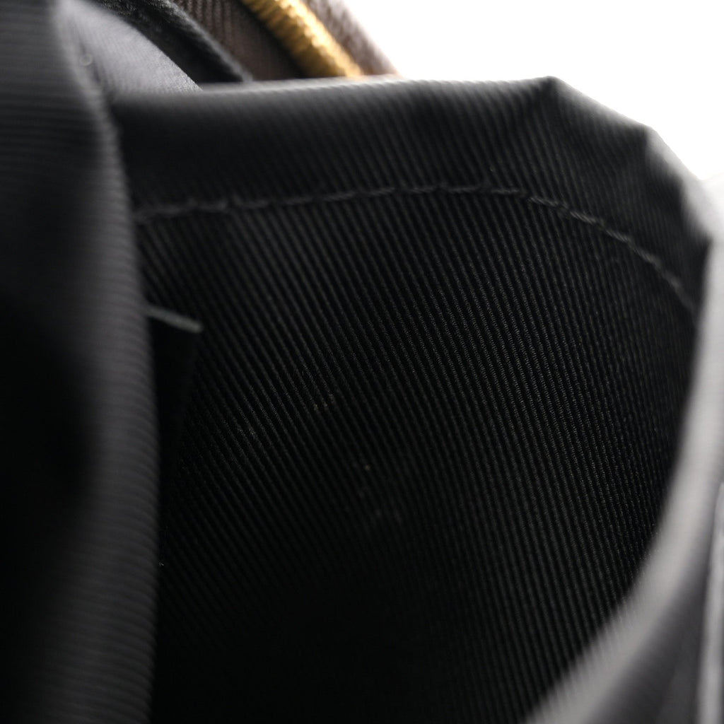 Louis Vuitton Monogram Palm Springs Backpack PM