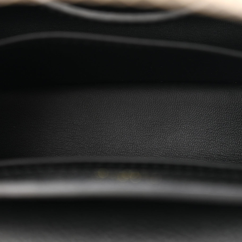 Louis Vuitton Taurillon Ayers Mini Capucines  Black