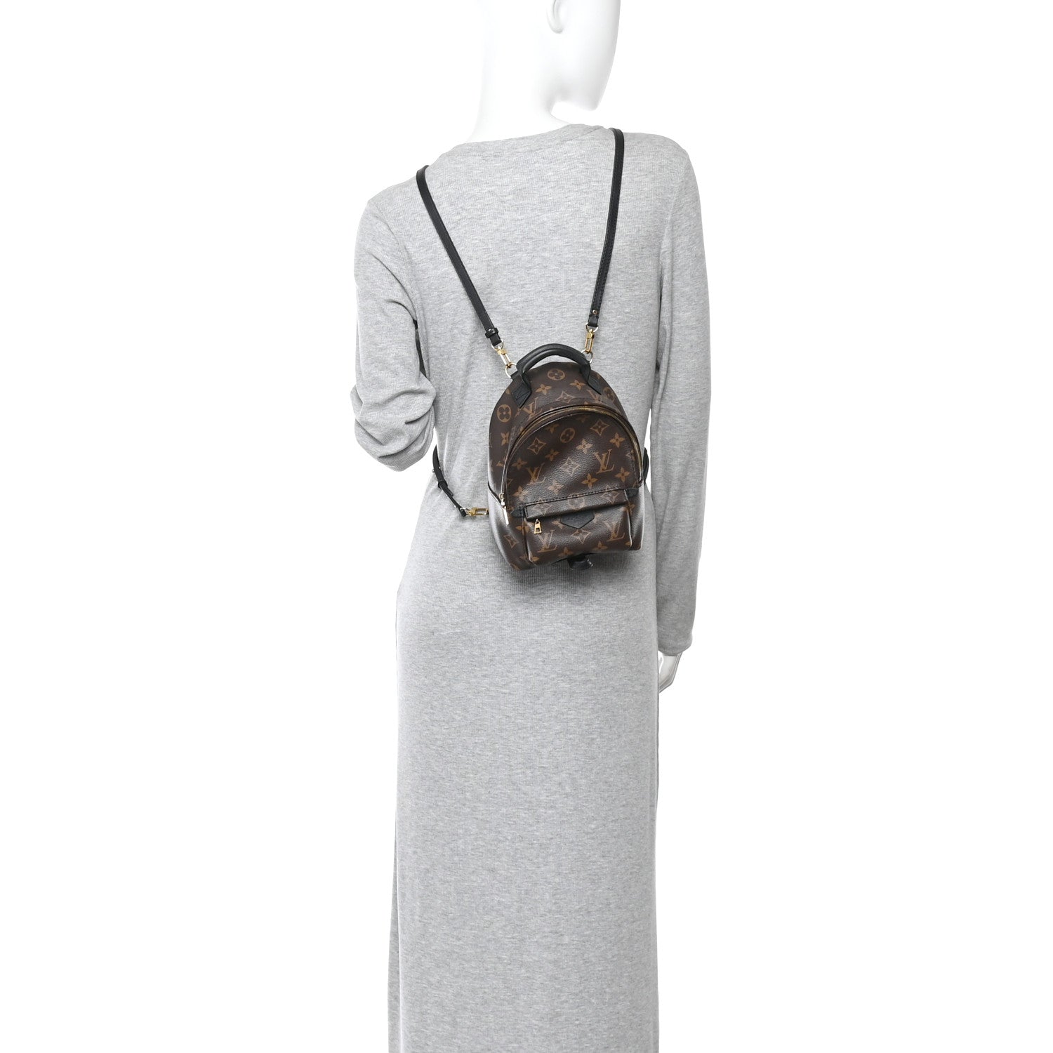 Louis Vuitton Monogram Palm Springs Backpack Mini