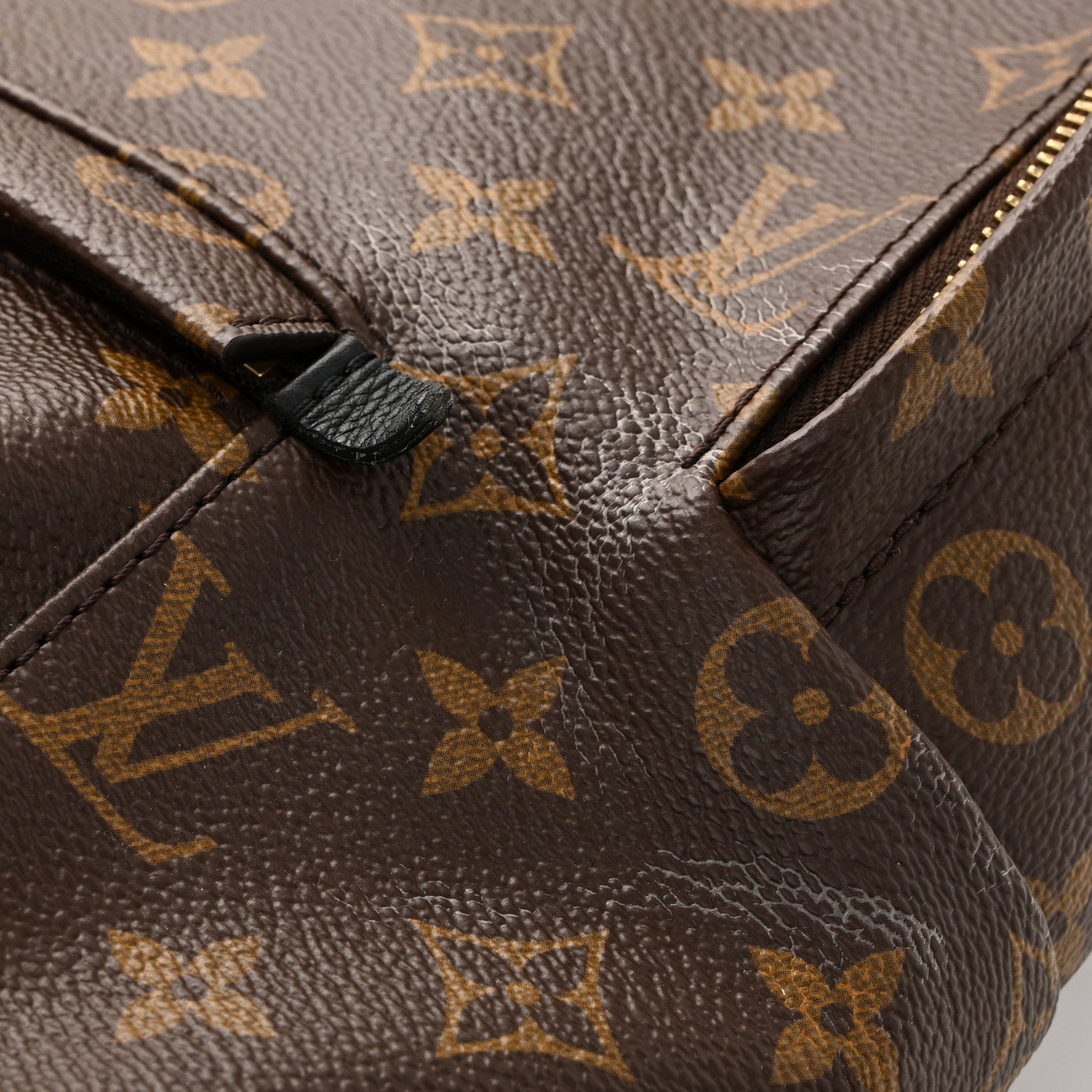 Louis Vuitton Monogram Palm Springs Backpack MM