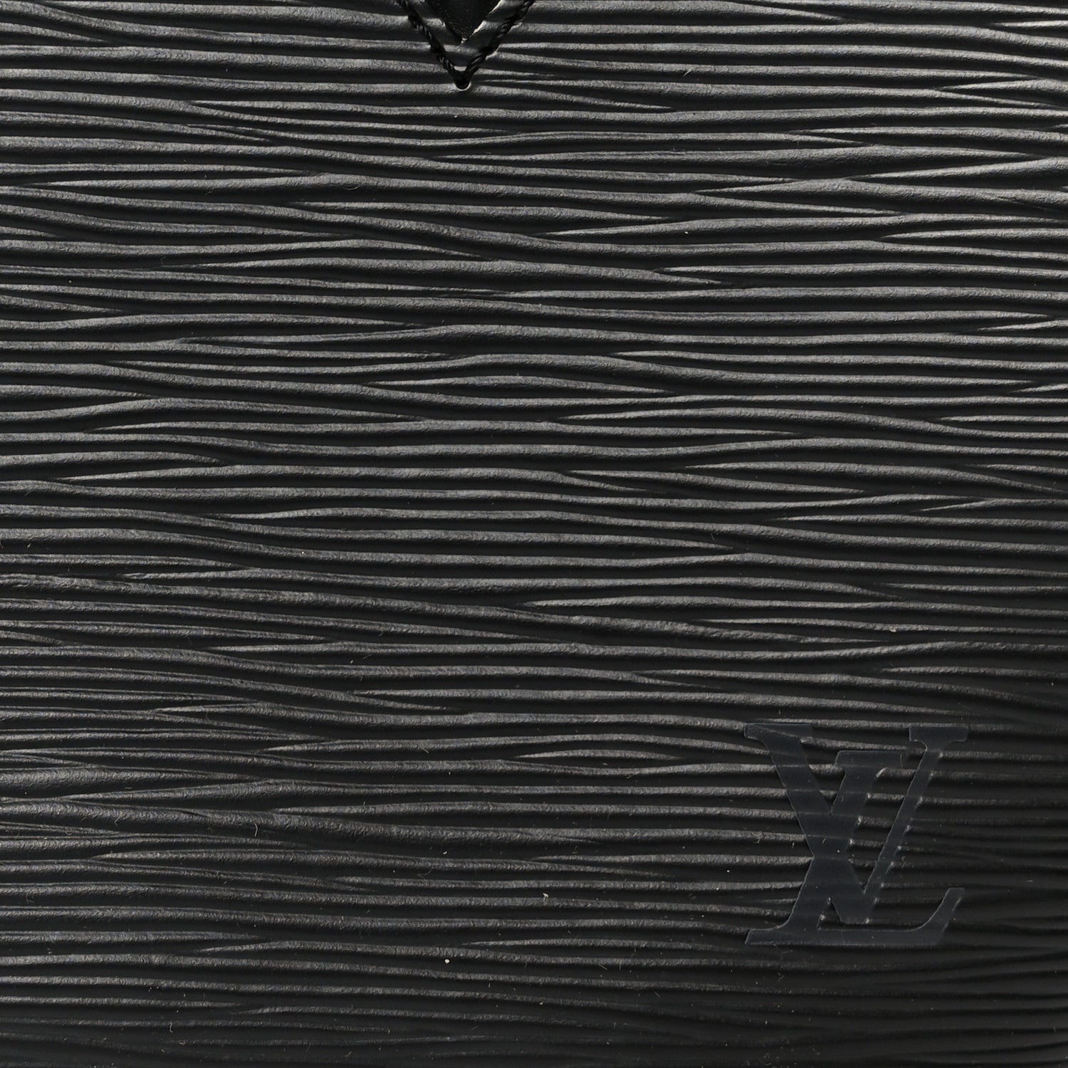 Louis Vuitton Epi Sablons Black