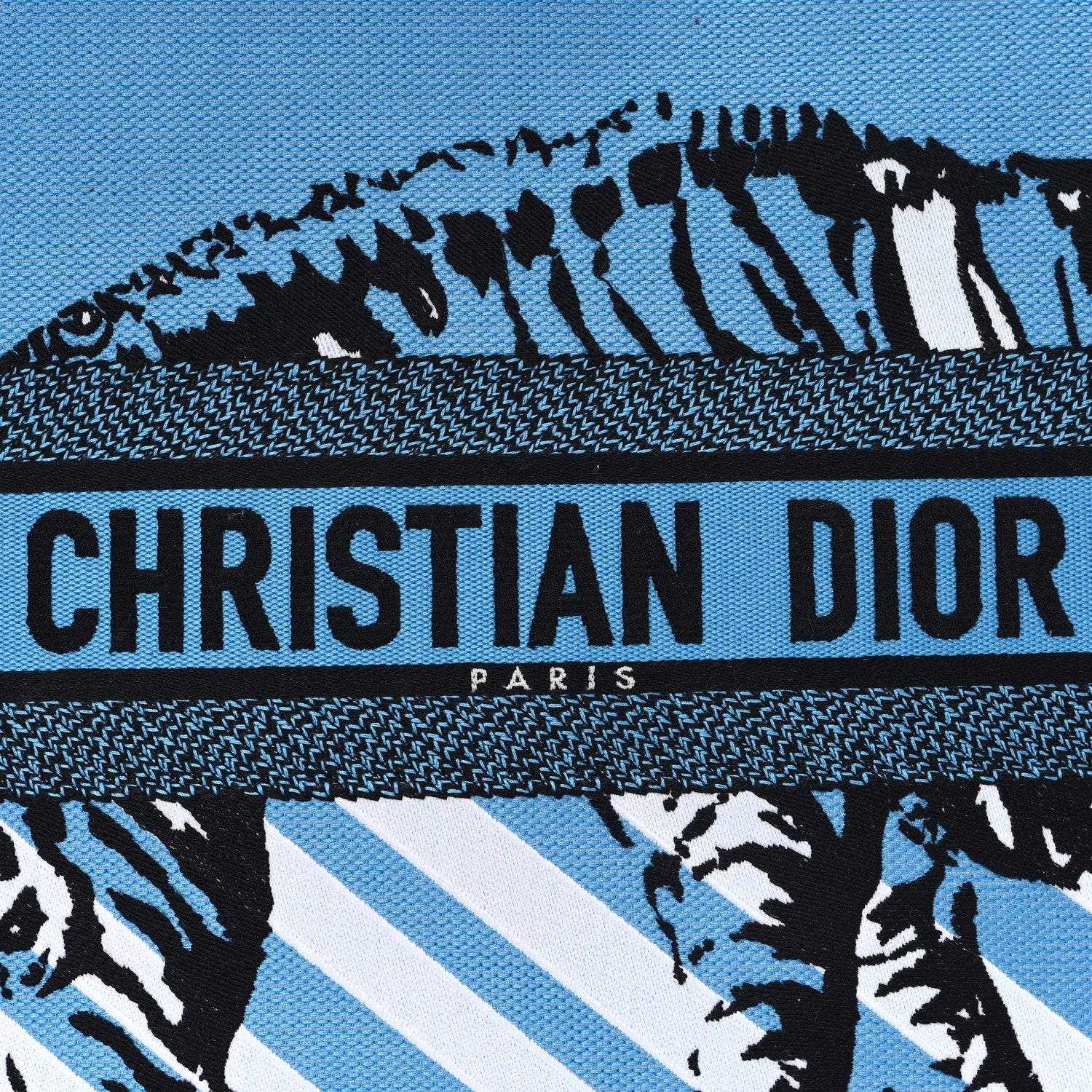 Christian Dior Canvas Embroidered Large Jungle Pop Book Tote Blue Multicolor