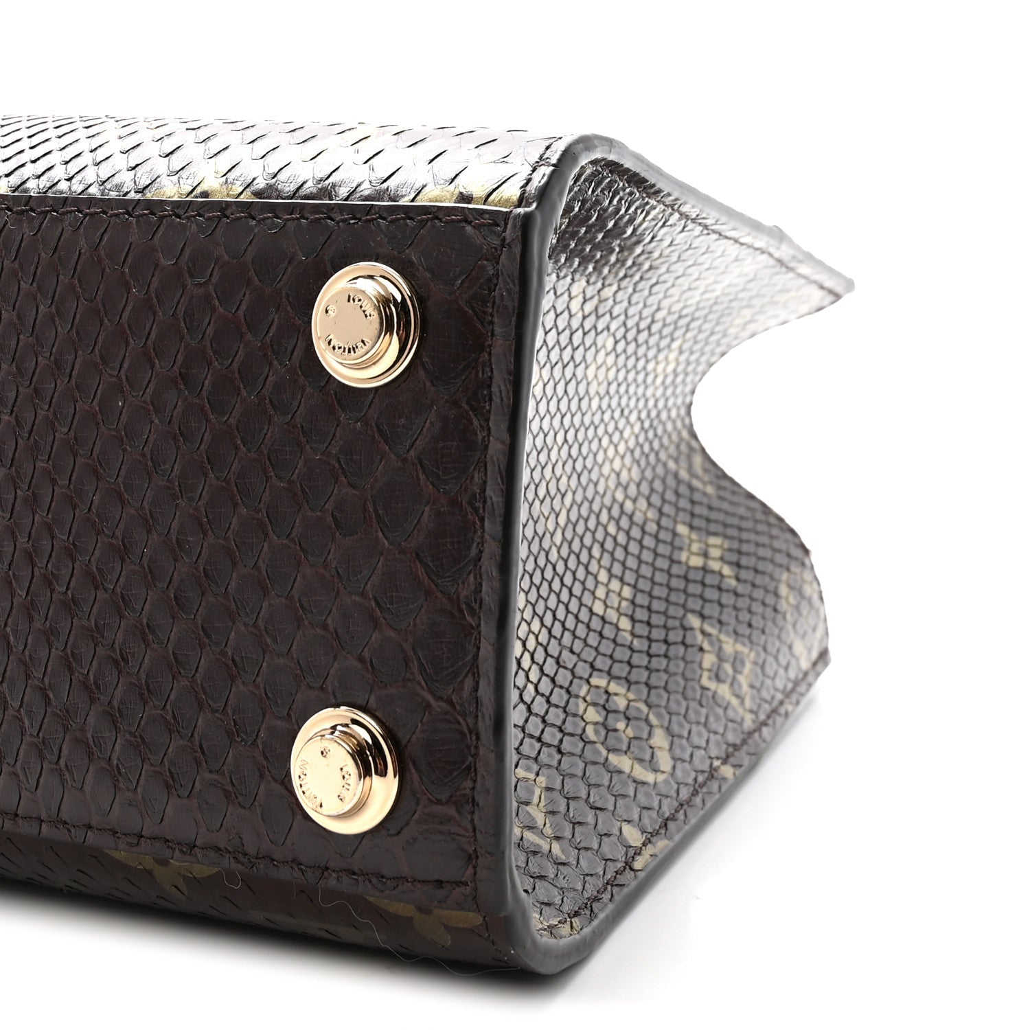 Louis Vuitton Snakeskin Monogram City Steamer Mini Brown
