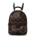 Louis Vuitton Monogram Palm Springs Backpack Mini
