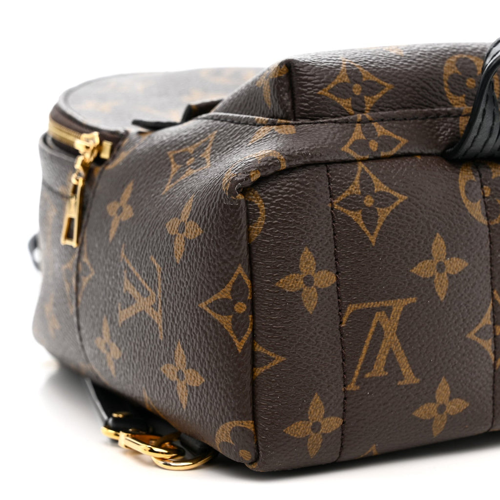 Louis Vuitton Monogram Palm Springs Backpack Mini