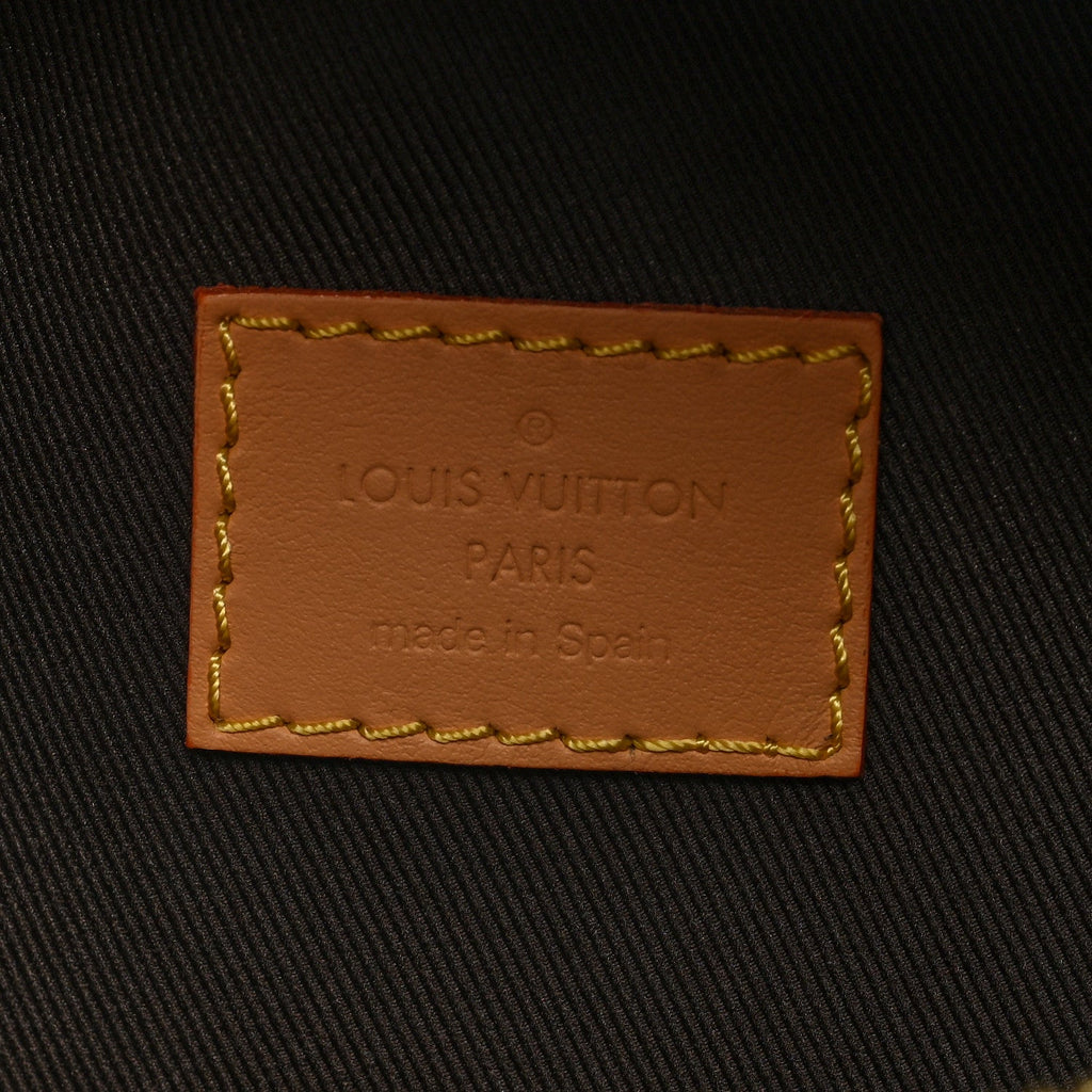 Louis Vuitton X TYLER THE CREATOR Monogram Craggy Rush Bumbag