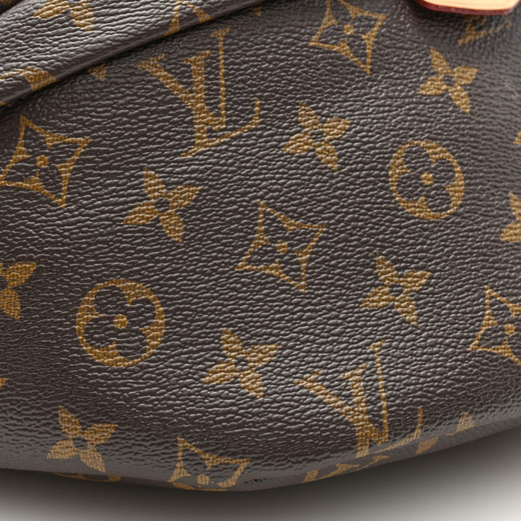 Louis Vuitton Monogram Bumbag