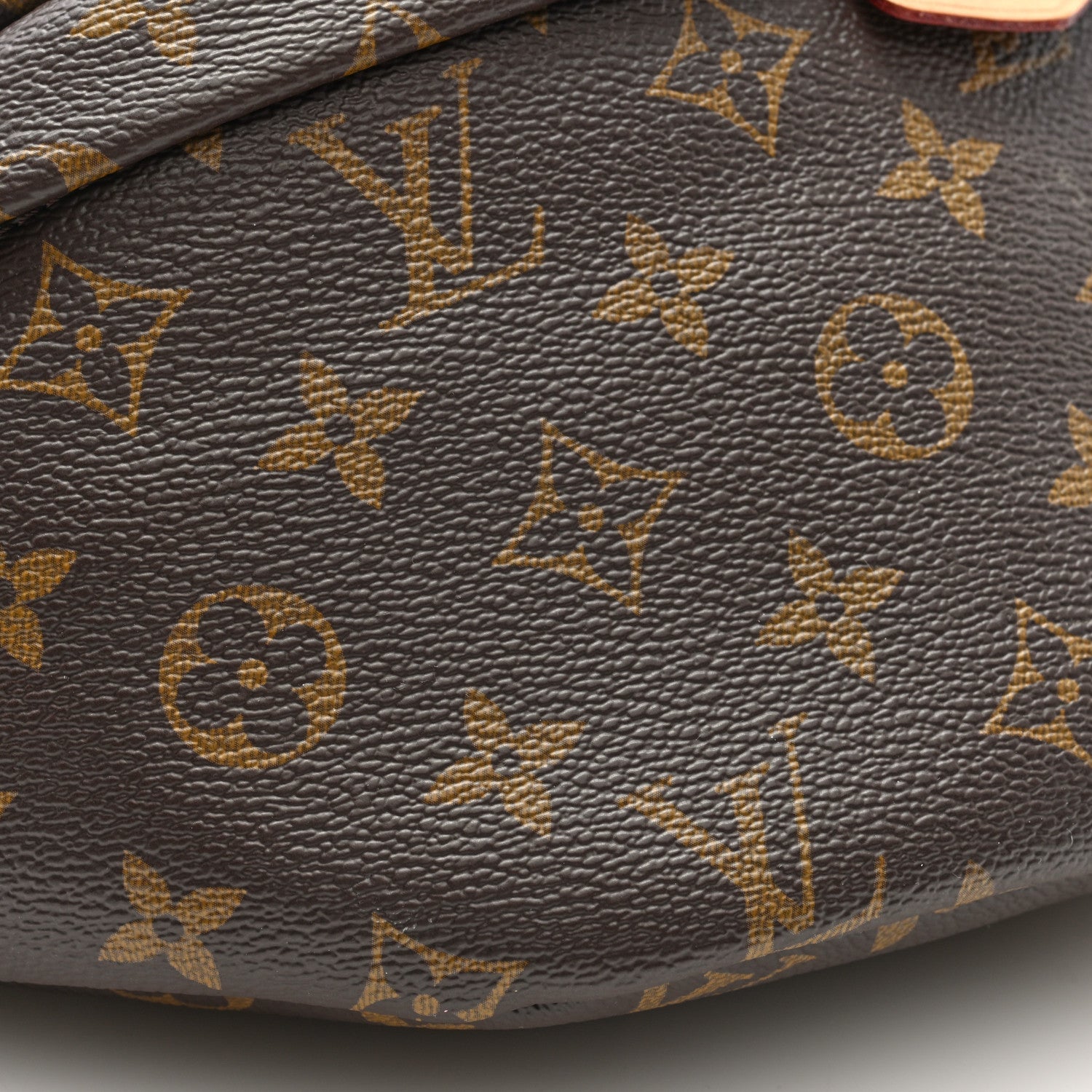 Louis Vuitton Monogram Bumbag