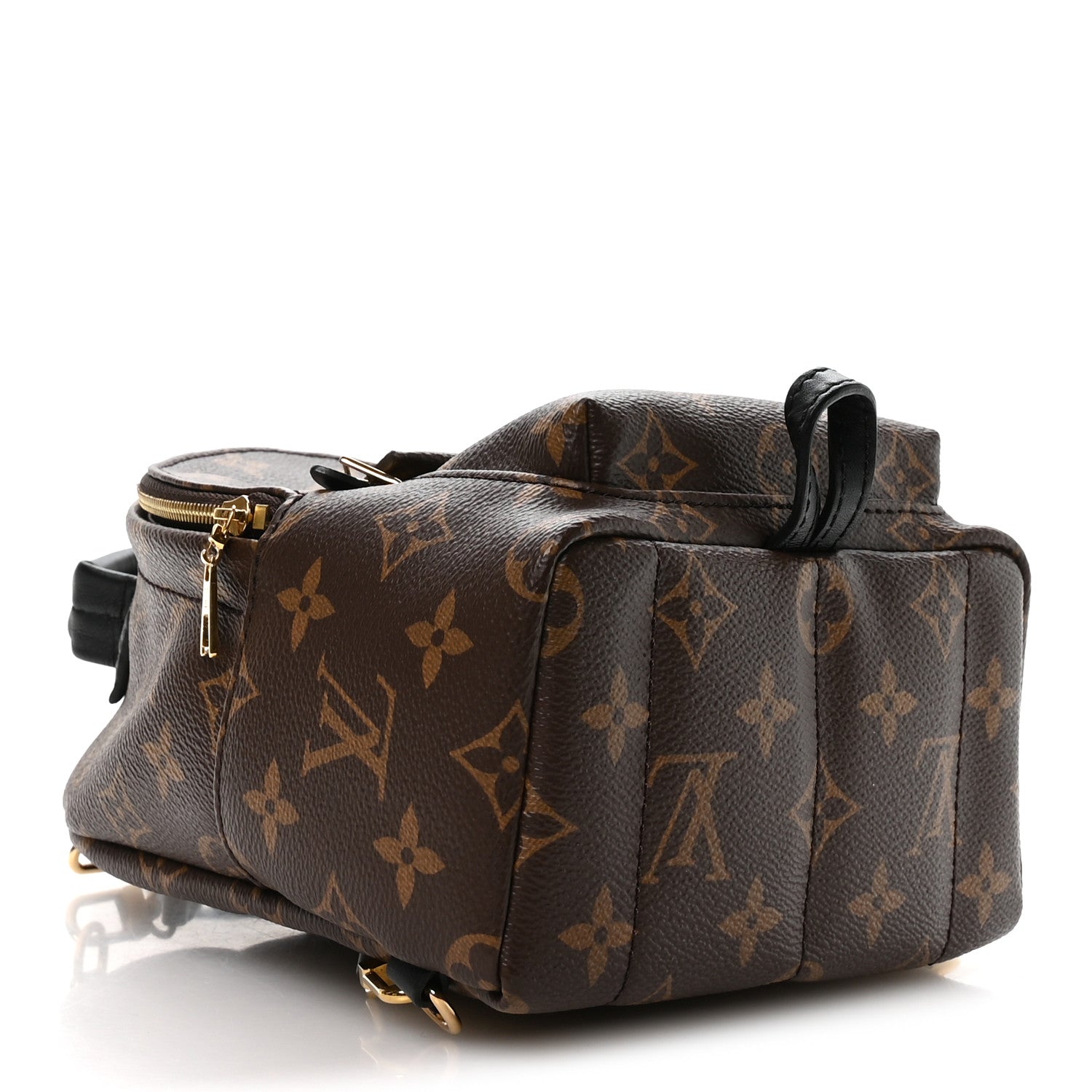Louis Vuitton Monogram Palm Springs Backpack Mini