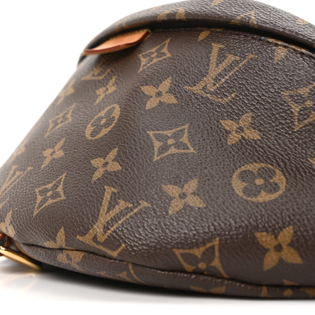 Louis Vuitton Monogram Bumbag