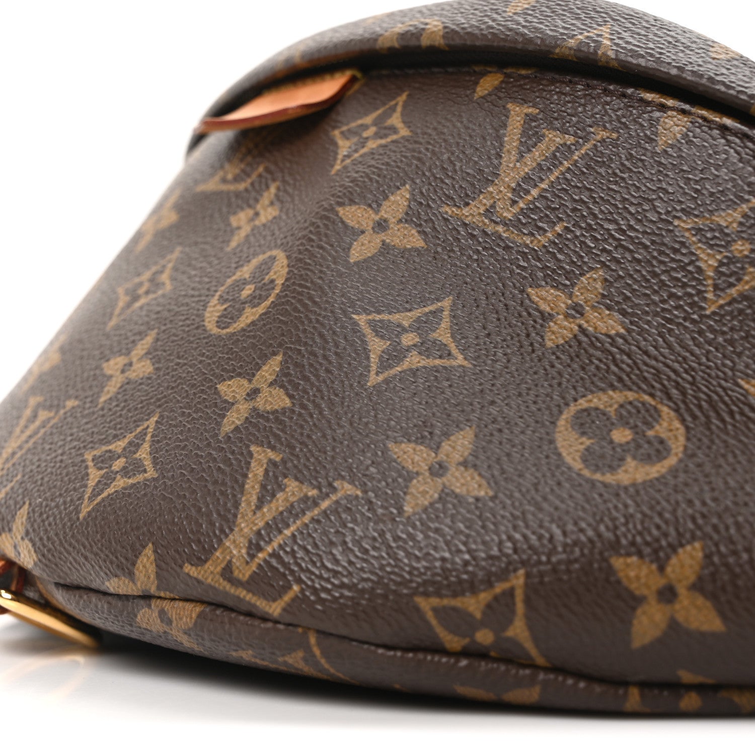 Louis Vuitton Monogram Bumbag