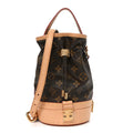 Louis Vuitton Monogram Petit Noe Trunk