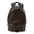 Louis Vuitton Monogram Palm Springs Backpack PM