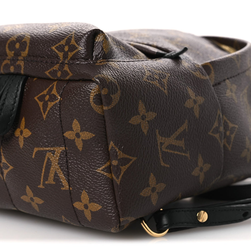 Louis Vuitton Monogram Palm Springs Backpack Mini