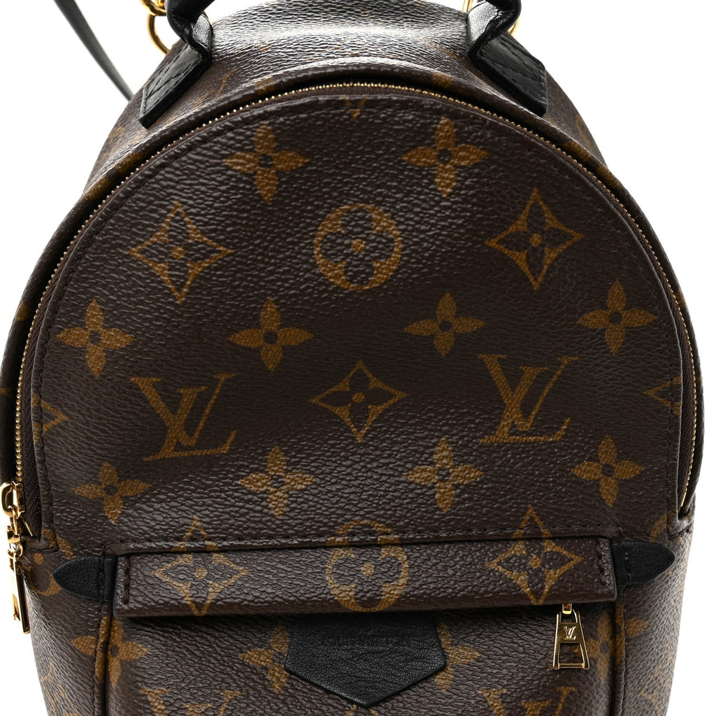 Louis Vuitton Monogram Palm Springs Backpack Mini