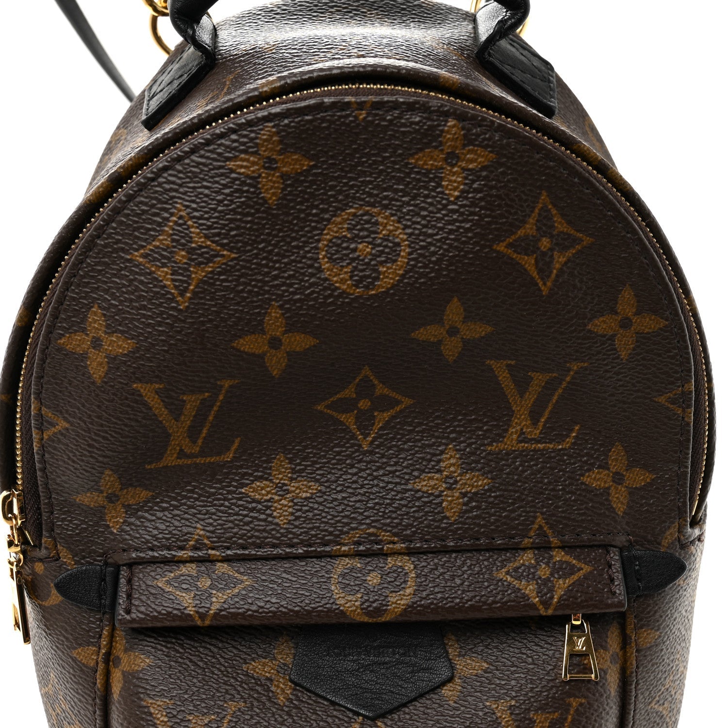 Louis Vuitton Monogram Palm Springs Backpack Mini